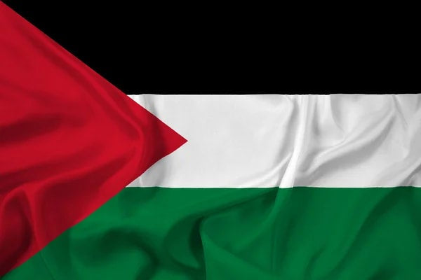 Palestinian Flag